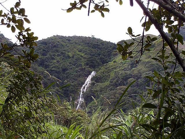 Cascada entre la vegetación de Girardota